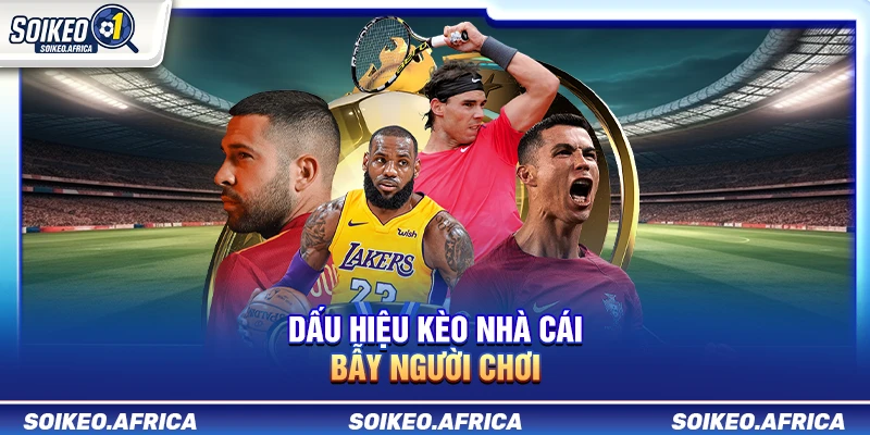 Dấu Hiệu Kèo Nhà Cái Bẫy Người Chơi Cần Biết Dấu Hiệu Kèo Nhà Cái Bẫy Người Chơi