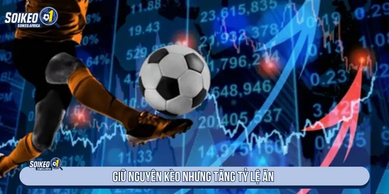 Dấu Hiệu Kèo Nhà Cái Bẫy Người Chơi Cần Biết Giữ nguyên kèo nhưng tăng tỷ lệ ăn
