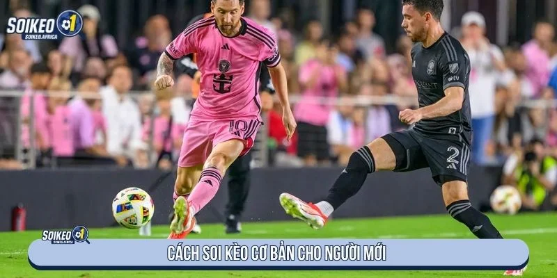 Người đọc nên quan tâm đến đội hình ra sân khi soi kèo bóng đá