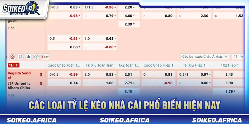 Tỷ Lệ Kèo Nhà Cái - Cách Đọc Và Phân Tích Kèo Các loại tỷ lệ kèo nhà cái phổ biến