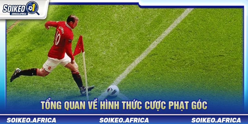 Đôi nét về hình thức kèo phạt góc