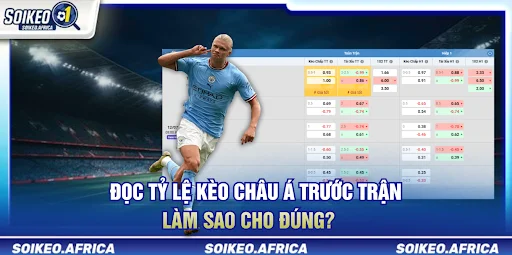 Đọc Tỷ Lệ Kèo Châu Á Trước Trận Sao Cho Đúng? Đọc tỷ lệ kèo châu Á trước trận